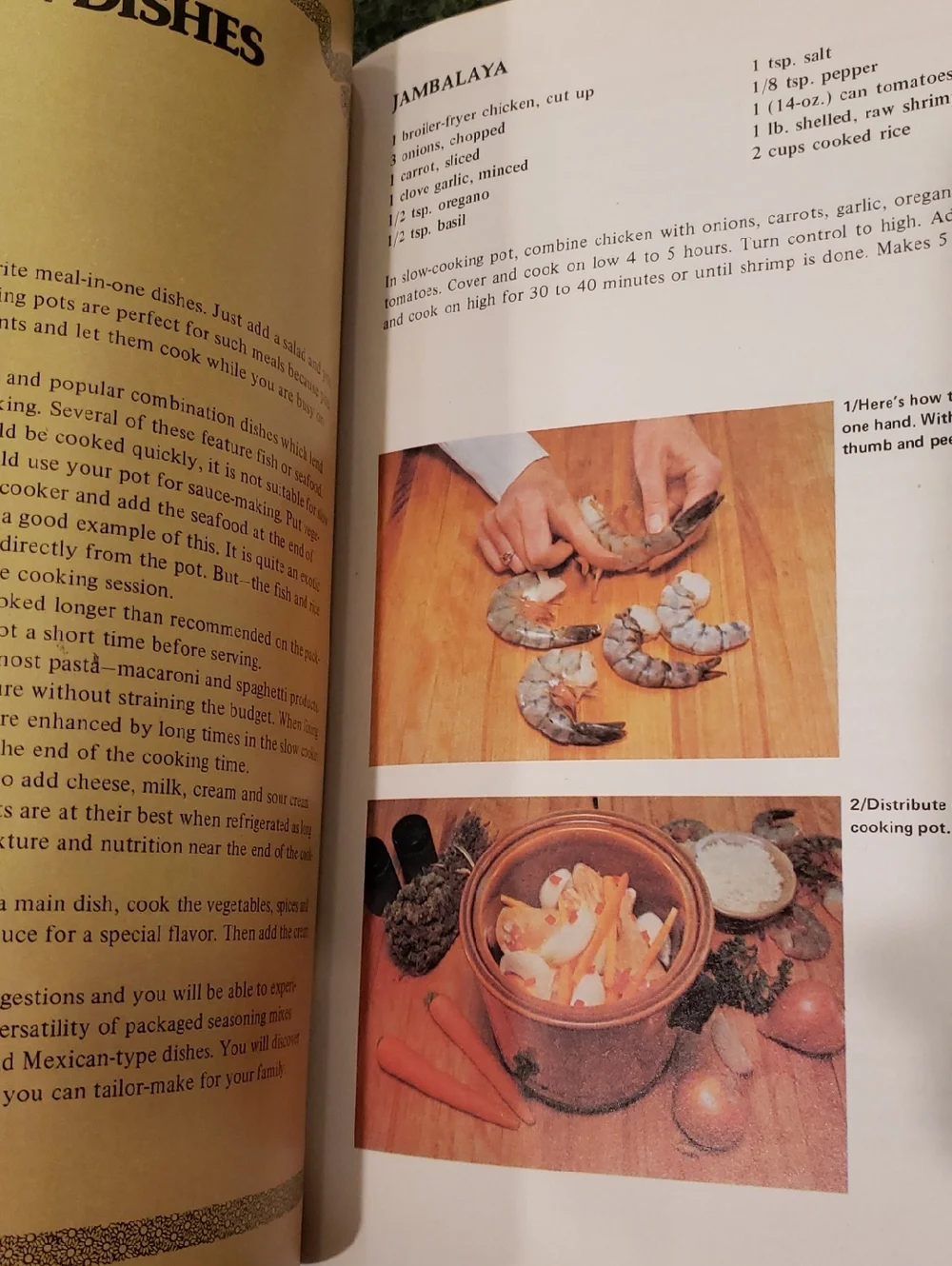 Cookbook Recipes Crockpot, Slow Cooker, Food Processor, Cooking for 1 or 2